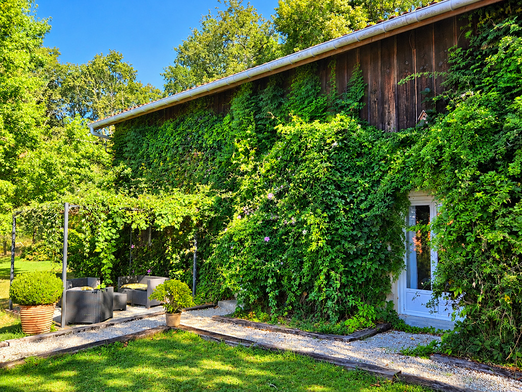 Façade du Gîte Pigerot couverte de plantes grimpantes, avec terrasse et pelouse.