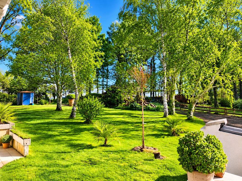 Jardin ensoleillé avec pelouse, arbres et clôture en bois.