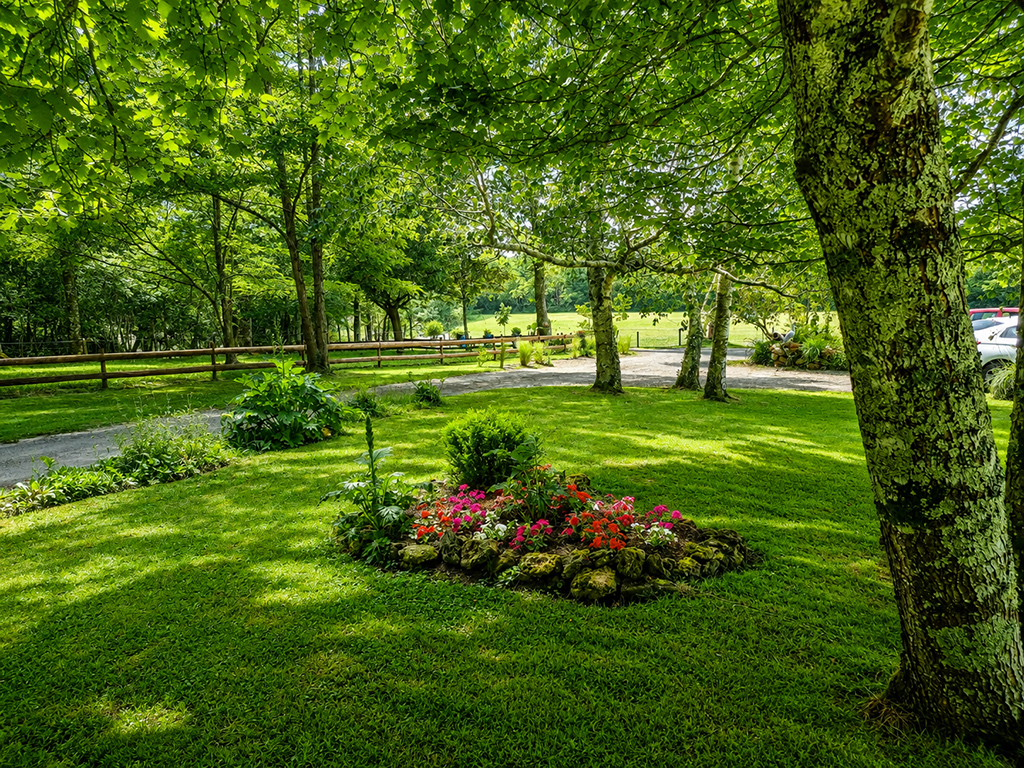 Jardin arboré avec pelouse et massif de fleurs rouges au pied d’un arbre.