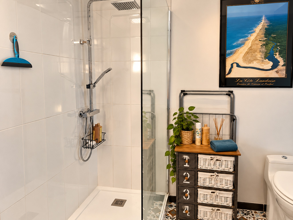 Douche avec paroi vitrée et meuble de rangement dans la salle d’eau.